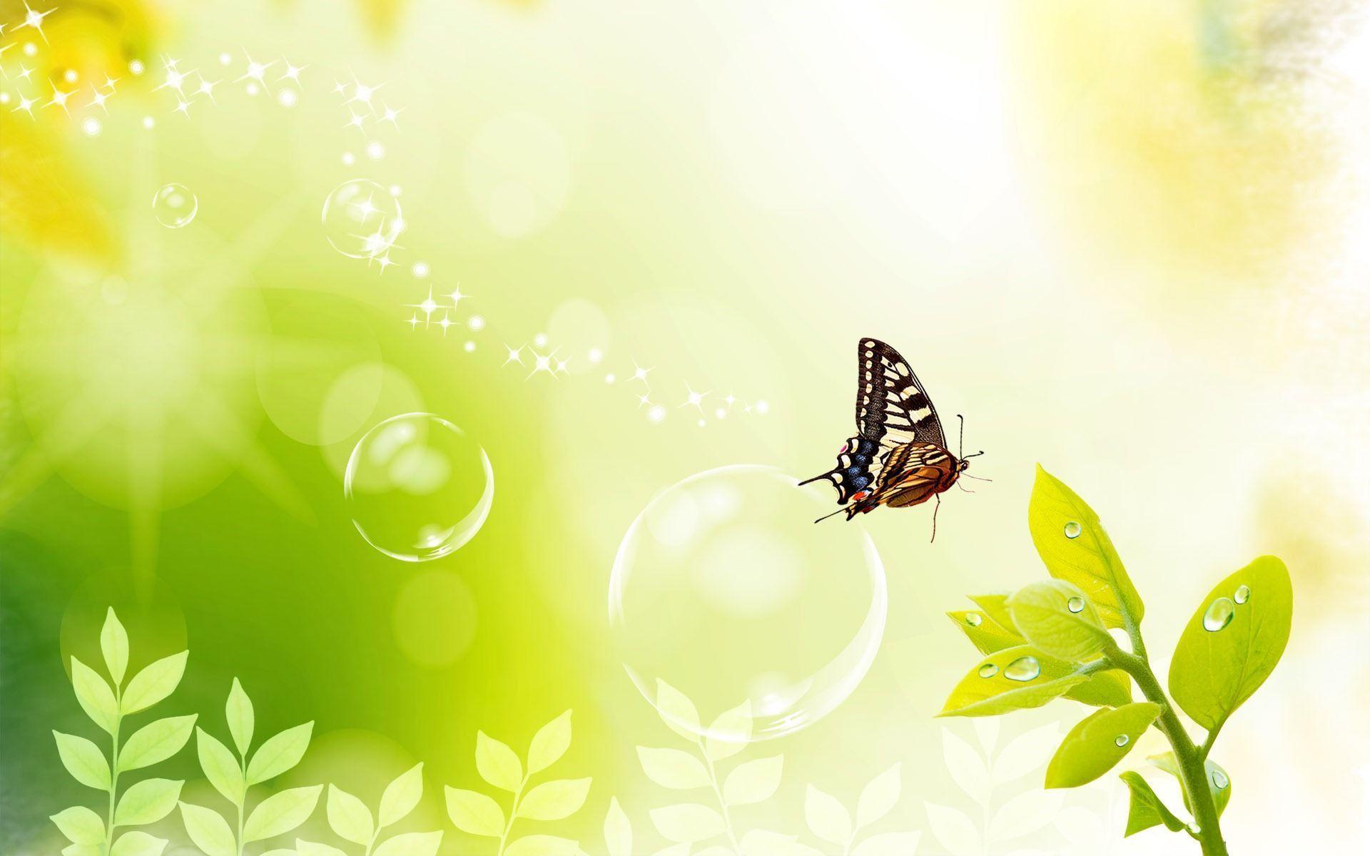 Green butterfly wallpaper